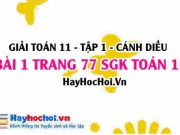 Giải bài 1 trang 77 Toán 11 tập 1 SGK Cánh Diều